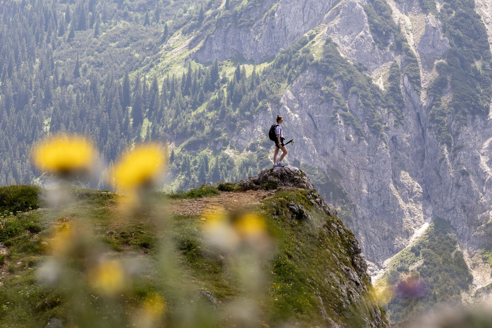 Eine Wanderin steht auf einem markanten Felsvorsprung hoch über dem Tannheimer Tal und genießt den Blick auf die imposanten Felswände und dichten Bergwälder. Verschwommene gelbe Alpenblumen im Vordergrund verleihen der Szene Tiefe. DER ENGEL im Tannheimer