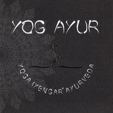 Yoga Iyengar Saint Brevin