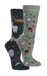 Socken Fun, Alpaka