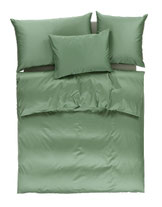 84.0303 Kaktus NEU