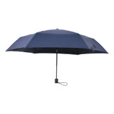 Navy 36%