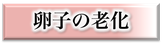 卵子の老化,不妊治療,漢方,名医,いい先生