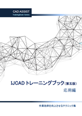 IJCADトレーニングブック　応用　テキスト