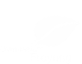 offizielle Webseite des Gymnasiums Freyung