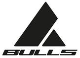 Bulls Logo
