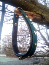 Schmuckhalsband, Hundehalsband aus Biothane