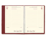Agenda día página D16 Myrga