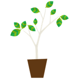 元気な植物