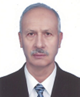 محمد ولی