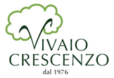 Vivaio Pomezia Vivaio Crescenzo Vivaio Torvaianica