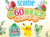 ポケモン-スコッティキャンペーン