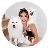 World Japanese Spitz Day, official representative, WJSD, Japanese Spitz, Spitz, dogs, white dog, holiday, Shirley Lu, Singapore