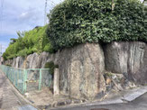 2025/11 PHOTO