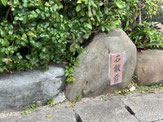 2025/12 PHOTO