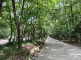 2025/09 PHOTO