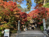 2025/11 PHOTO