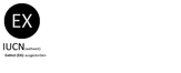 Schutzstatus des Riesenalks gemäß der Roten Liste der Brutvögel des IUCN, in Deutschland, Österreich und der Schweiz.