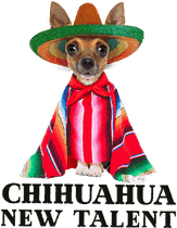 Chihuahua New Talent logo