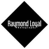 link raymond loyal viewbug
