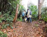 篠原城の土橋