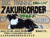 ＺＡＫＵＲＢＯＲＤＥＲ（サクールボーダー）ブログ、ボーダーコリーＭ＆Ｅ２０２２１２１６使用画像