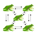 Logo des Laubfroschprojektes - Abb. T.Scharfe