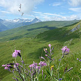 Strahlen Lugnez Schweiz Switzerland Topas Bergkristall Pyrit rockhounding