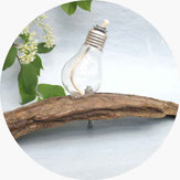 Upcycling-Idee: Eine alte Glühbirne wurde mit Hilfe eines Glasfaserdochtes, Schraubverbindungen und Treibholz in eine einzigartige Öllampe umgebaut.