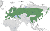 Karte zur Verbreitung des Buntspechts (Dendrocopos major)