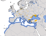 karte zur Verbreitung der Schwarzkopfmöwe (Ichthyaetus melanocephalus)