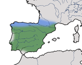 Karte zur Verbreitung des Mittelmeer-Raubwürgers (Lanius meridionalis)