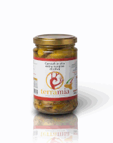 carciofi ,valle del belice, sicilia 