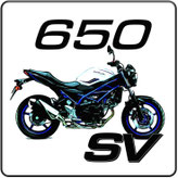 Suzuki SV 650 Sportauspuff