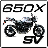 Suzuki SV 650 X Sportauspuff
