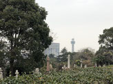 2018/12