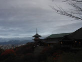 H24・11/11　清水寺・・・雨