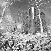 New York, tografie Sandra Gygax Fotografie & Kunst