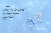 Bläulinge, Schmetterling, Papillon,Christliche Kunstkarten