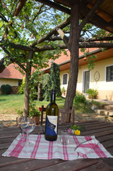 Weinviertel table with wine and glasses