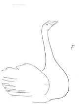 Hopeful Goose, line drawing by Sarah Myers