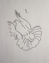 Soaring Pigeon, line drawing by Sarah Myers