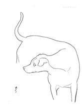 Graceful Dog, line drawing by Sarah Myers