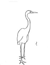 Tall Egret, line drawing by Sarah Myers