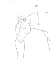 Woman with a Horse, line drawing by Sarah Myers