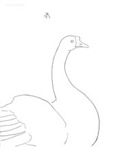 The White Goose, line drawing by Sarah Myers