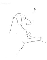 Dachshund Profile, line drawing by Sarah Myers