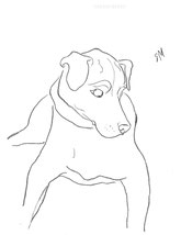 Dog Looking Down, line drawing by Sarah Myers