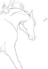 Horse with Flying Mane, line drawing by Sarah Myers