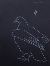 Pigeon Raising its Wings, line drawing by Sarah Myers