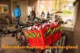 Fahrradvermietung Weserbergland, Fahrradverleih, Fahrräder Weser, Weserbergland, Weser